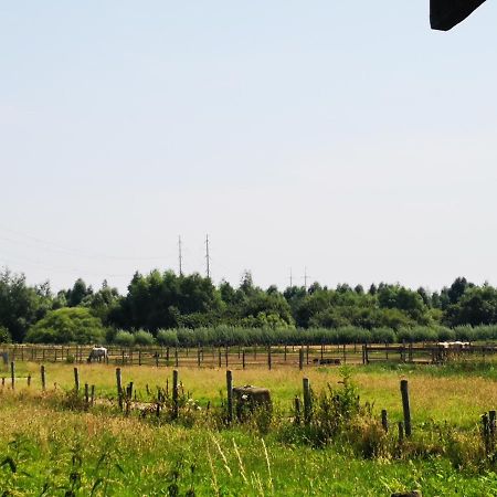 Ruime Romantische Blokhut Zwaanshoek Esterno foto
