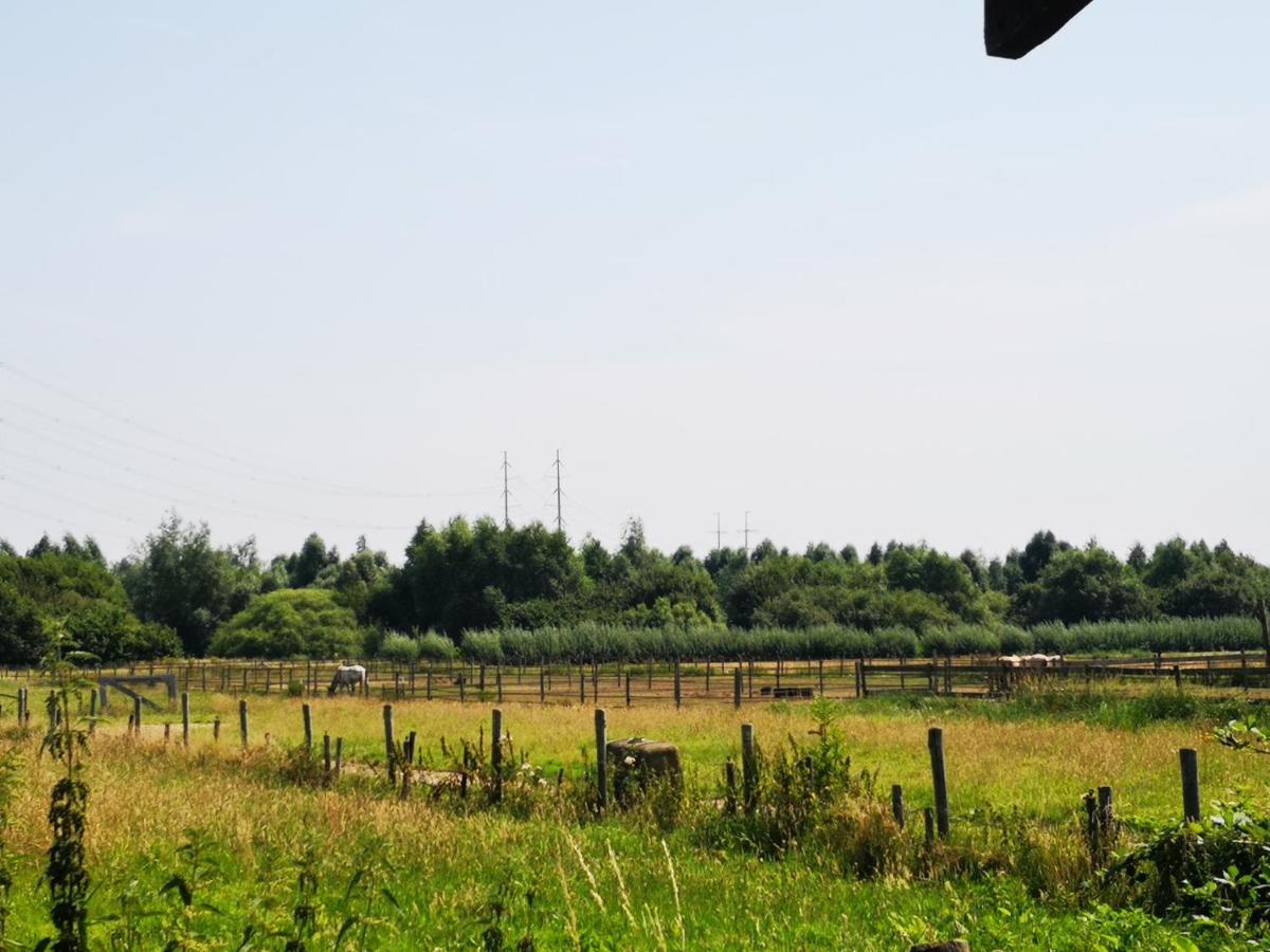 Ruime Romantische Blokhut Zwaanshoek Esterno foto