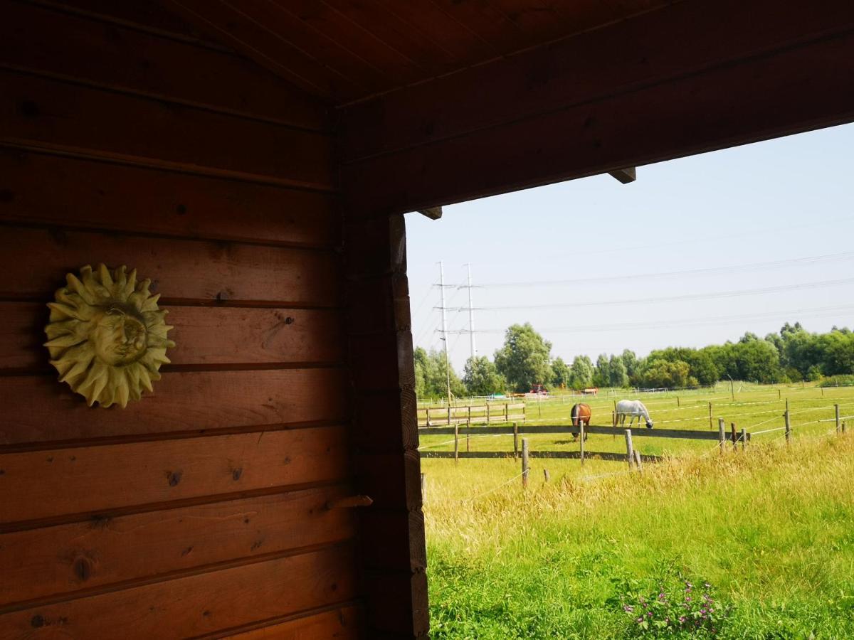 Ruime Romantische Blokhut Zwaanshoek Esterno foto