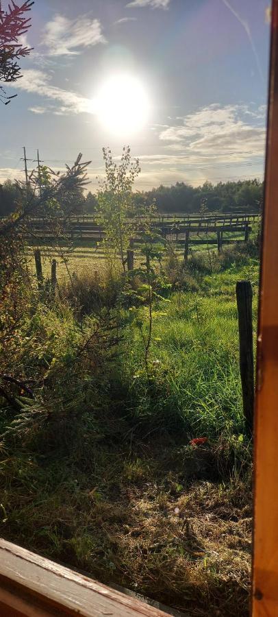 Ruime Romantische Blokhut Zwaanshoek Esterno foto